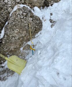 Tânărul | MyTex.ro