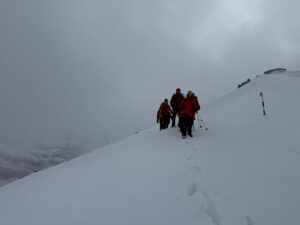 Tânărul | MyTex.ro