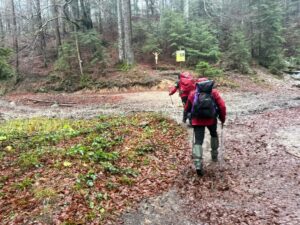 Tânărul | MyTex.ro