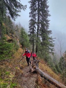 Tânărul | MyTex.ro