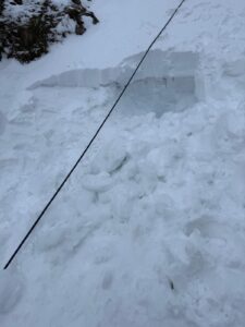 Tânărul | MyTex.ro