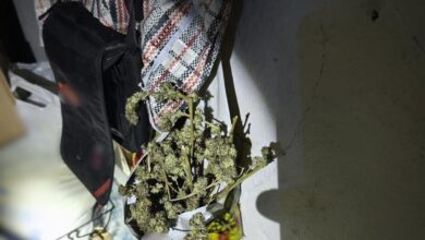 decizie șocantă | MyTex.ro