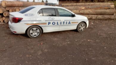 Material lemnos de peste 200.000 de lei, confiscat de polițiștii brașoveni / Amenzi... 1 Material lemnos | MyTex.ro