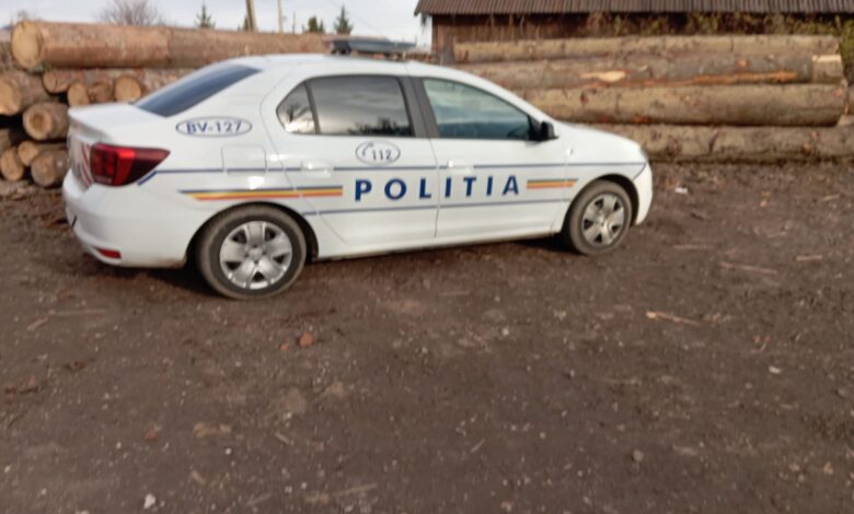 Material lemnos | MyTex.ro