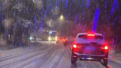 Programul | MyTex.ro