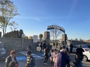 RATBV a suplimentat | MyTex.ro