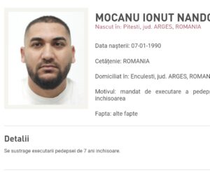 dani mocanu | MyTex.ro