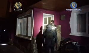 Percheziție | MyTex.ro