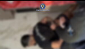 Percheziții | MyTex.ro