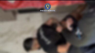 Percheziții și trei rețineri în cazul unor furturi din Tărlungeni (video) 12 minori | MyTex.ro