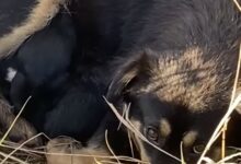 Atenție! | MyTex.ro