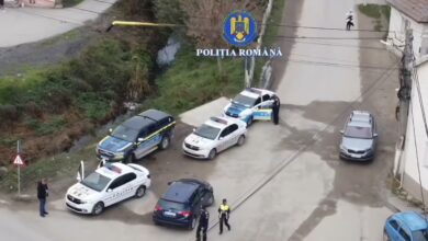 Elon Musk | MyTex.ro