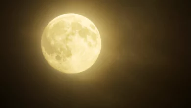 „Superluna Castorului” - „spectacol" pe cer în nopțile următoare 1 Superluna castorului | MyTex.ro