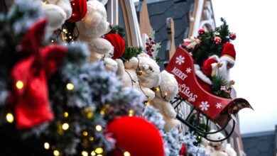 DSVSA Braşov | MyTex.ro