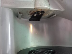 FOTO. Fructe „înghițite” de mucegai și produse expirate, „ofertele” dinainte de Black Friday 44 fructe | MyTex.ro