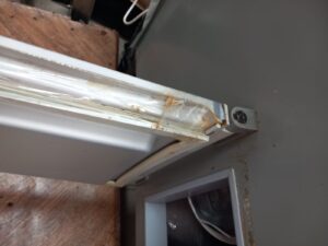 FOTO. Fructe „înghițite” de mucegai și produse expirate, „ofertele” dinainte de Black Friday 46 fructe | MyTex.ro