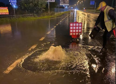 Bartolomeu | MyTex.ro