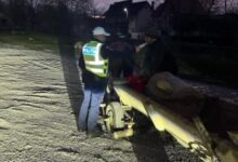 VIDEO. După 2 accidente cu căruțe în aceeași seară, Poliția Brașov a demarat controale / Peste 80 de căruțași amendați în 3 ore 93 Casă | MyTex.ro