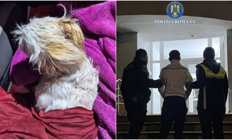 încătușat | MyTex.ro