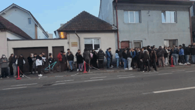 Nebunie la șaorma gratis în Brașov 1 şaorma gratis | MyTex.ro