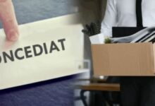 Peste 100 de concedieri în automotive la Brașov 5 Peste 100 de concedieri