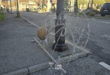 Silviu Tănase | MyTex.ro