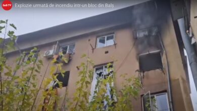 tânără | MyTex.ro