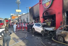 surprinși de viscol | MyTex.ro