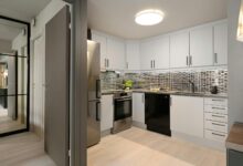 Cum transformi gătitul acasă într-o plăcere: idei simple pentru o bucătărie funcțională și inspirată 5 Ce maşini preferă braşovenii | MyTex.ro