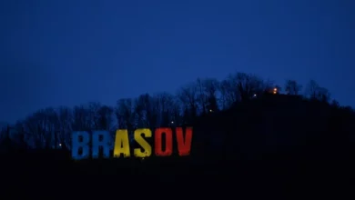 Miros de hoit | MyTex.ro