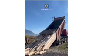 transport ilegal | MyTex.ro