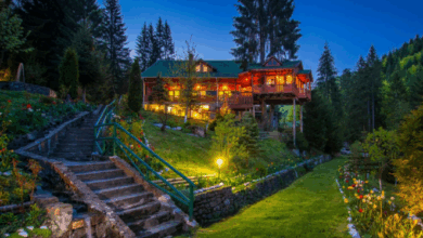 Fost pavilion de vânătoare a lui Nicolae Ceauşescu, de vânzare. E la cca 75 km de Braşov / Preţ pentru Hadar Chalet, care are şi heliport 1 Fost pavilion de vânătoare | MyTex.ro