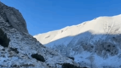 Salvamont Râșnov | MyTex.ro