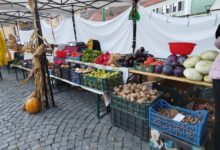 Festivalul CULMEA aduce la Brașov filme premiate și ateliere inedite pentru publicul tânăr | MyTex.ro