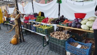 târguri de toamnă | MyTex.ro