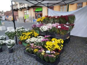 Weekend cu târguri de toamnă în două zone din Brașov / Lipsa locurilor de parcare, o problemă în Piața Unirii 20 târguri de toamnă | MyTex.ro