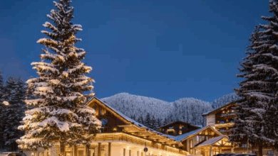 Poiana Braşov | MyTex.ro