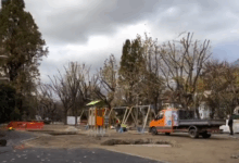 Noutăți pentru cei mici în Parcul Titulescu - Brașov 6 Nou record național | MyTex.ro