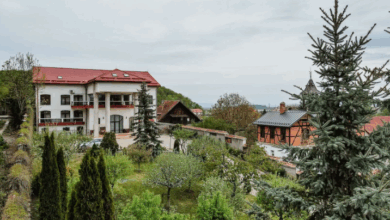 Vilă de vânzare în Noua - Braşov / Cu piscină interioară şi cu candelabre făcute la Viena / Care credeţi că este preţul 1 Braşov | MyTex.ro