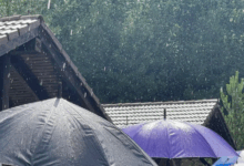 Companie low cost | MyTex.ro