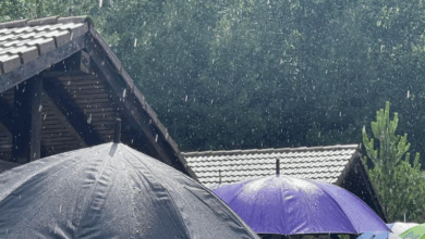 Uluitor! Ce vreme vom avea săptămâna viitoare... 7 Ninge | MyTex.ro