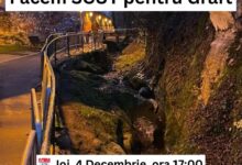 Brașov - Protest pe Aleea După Ziduri pentru stoparea șantierului din zonă: „Lucrările de pe Pârâul Graft riscă să transforme unul dintre cele mai frumoase și sensibile locuri ale orașului într-un culoar de beton" 3 | MyTex.ro