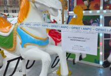 Controale ANPC în Târgurile de Crăciun: peste 150 de sancțiuni aplicate în doar 4 zile 5 | MyTex.ro