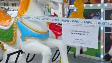 Controale ANPC în Târgurile de Crăciun: peste 150 de sancțiuni aplicate în doar 4 zile 7 Stagiu militar voluntar | MyTex.ro