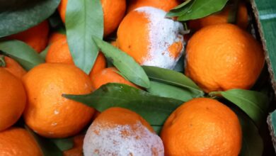 Controale ANPC la nivel național: amenzi de peste 14,4 milioane de lei în numai cinci zile 1 ANPC | MyTex.ro