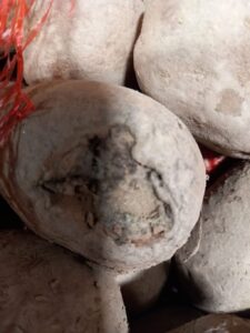 Controale ANPC la nivel național: amenzi de peste 14,4 milioane de lei în numai cinci zile 14 ANPC | MyTex.ro