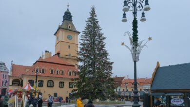 Magia Crăciunului | MyTex.ro