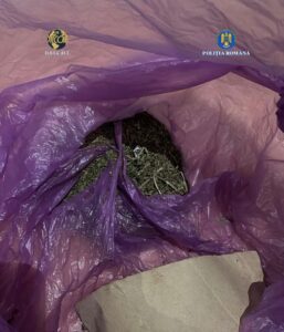 Traficant de droguri prins în flagrant într-un liceu din Târgoviște 8 Traficant | MyTex.ro