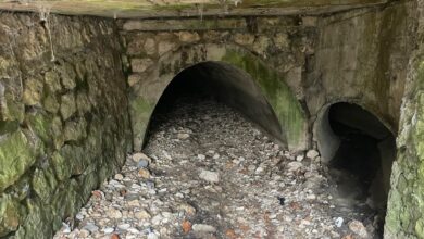 Eveniment editorial la Mănăstirea de la Cristian | MyTex.ro