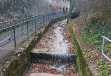 O vedetă de pe TikTok și-a mințit | MyTex.ro